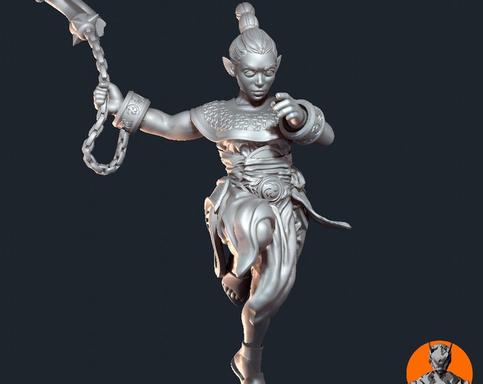 Air Genasi and Elemental