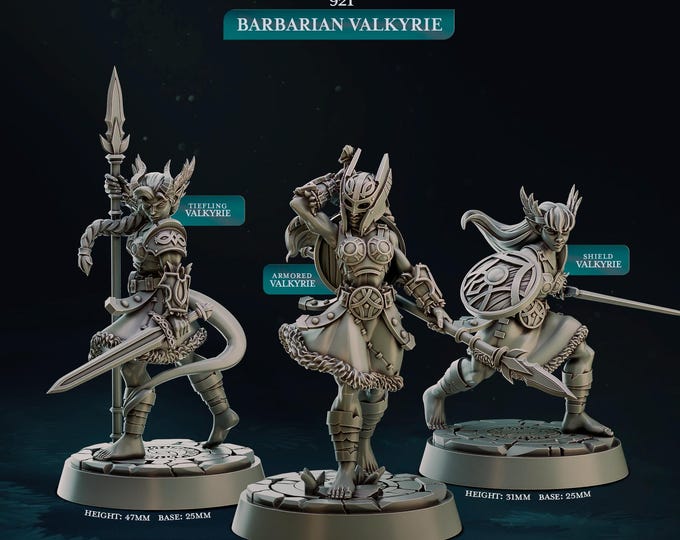 Barbarian Valkyries -Cast Play -NorthWind Vikings