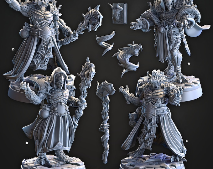 Barrab Wardens- DragonSeekers -Cast and Play