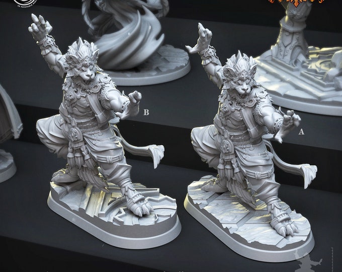 Raksasha or  Tabaxi Monk PLEASE NOTICE hands when selecting