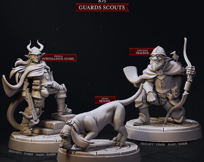 Town Scouts of Mennesker City  -Cast and Play
