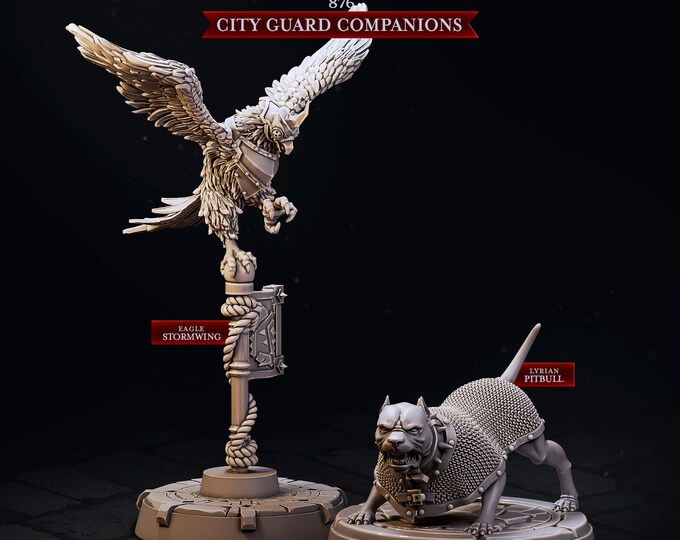City Guard Companions of Mennesker City  -Cast and Play