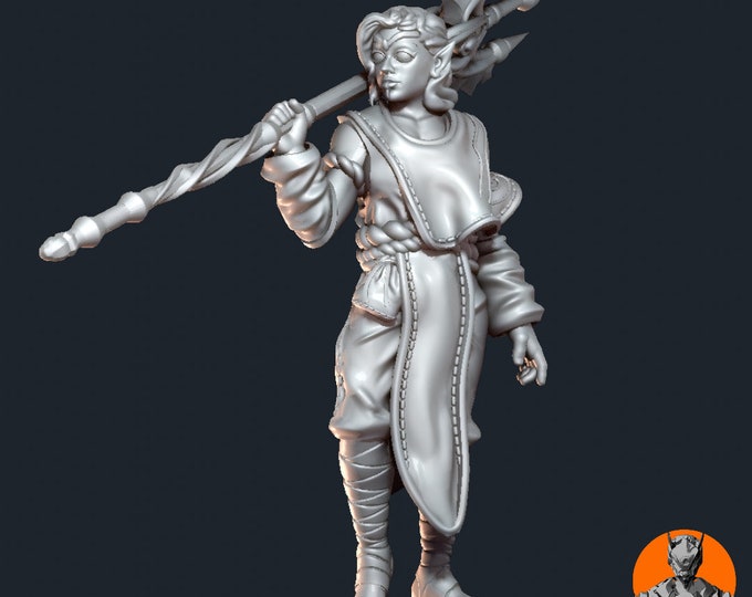 Water Genasi and Elemental