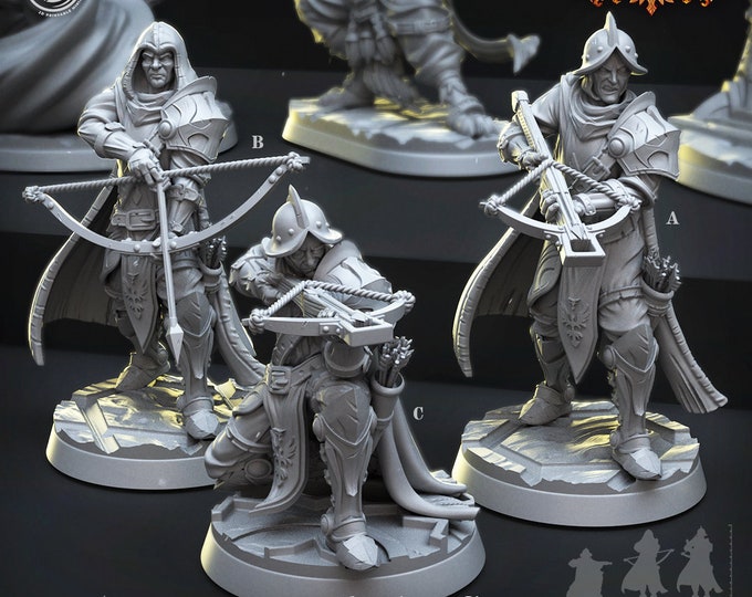 Castle Knights artillery