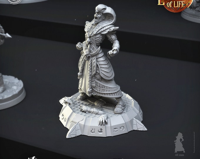 Mummy King-Cast and Play