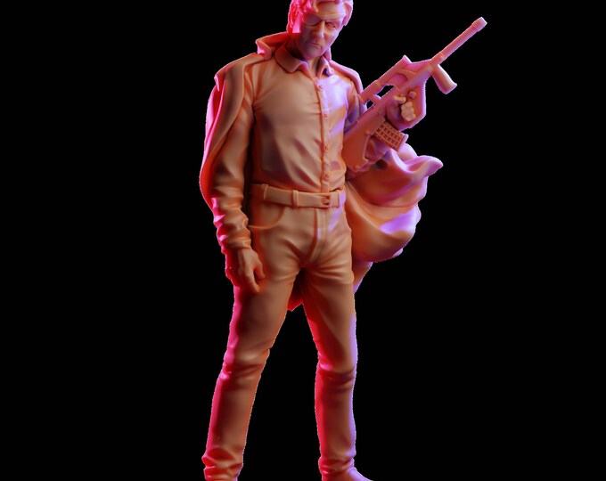 Governor  WD -VaultZ