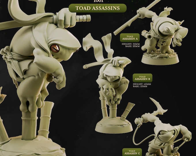 Ranger Toads-Cast Play -Jungle Toads
