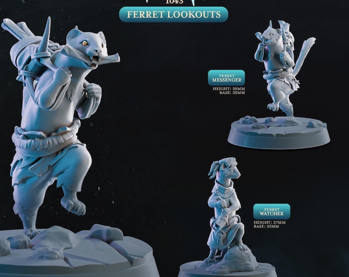 Ferrets  -Cast Play -The IceBound