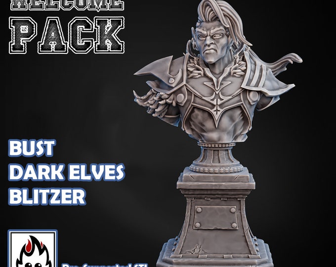 Ugni Dark Elves Blitzer Bust