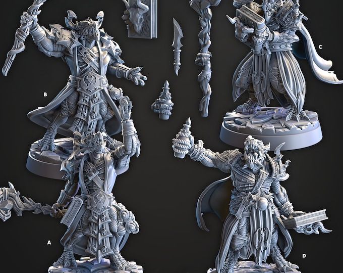 Drakken Sage Council- DragonSeekers -Cast and Play