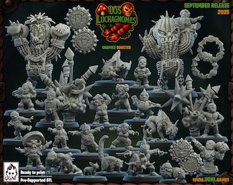 Los Lunchagnomes Gnome TT Football Core Team -Ugni