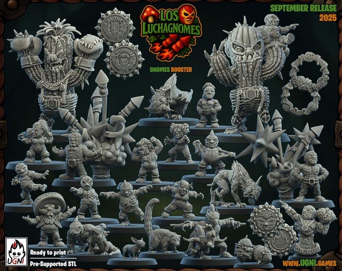 Los Lunchagnomes Gnome TT Football Core Team -Ugni