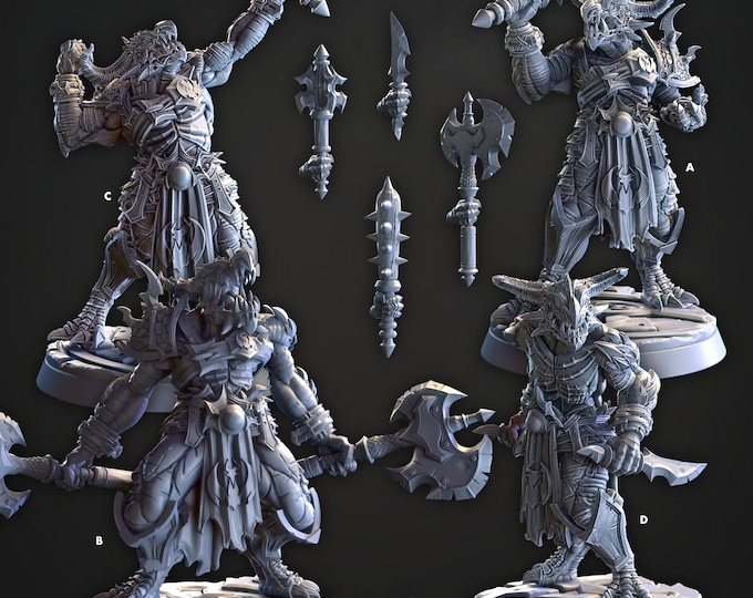 Drakken Marauders - DragonSeekers -Cast and Play