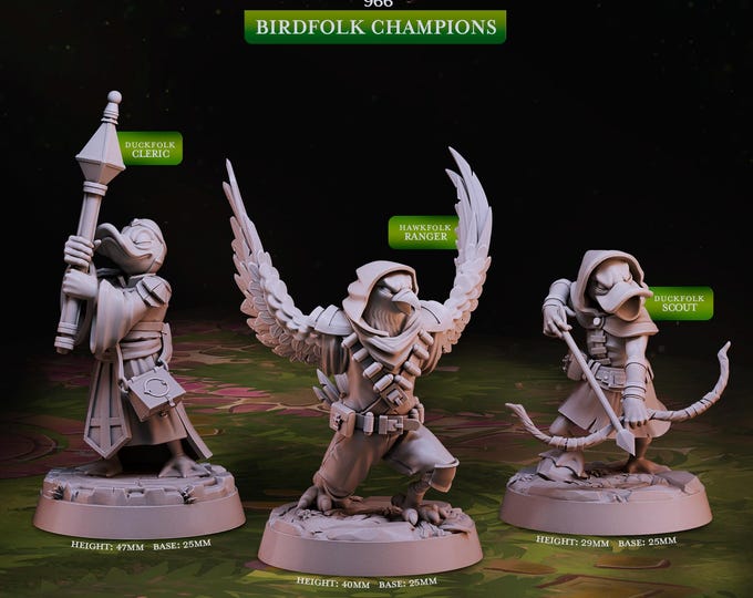 BirdFolk Champions -Woodland Heroes -Cast and Play