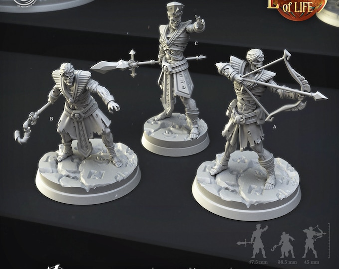 Ancient Guards-Cast and Play