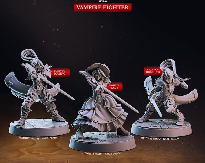 Vampire Fighter -Cast Play -Dungeon Guild