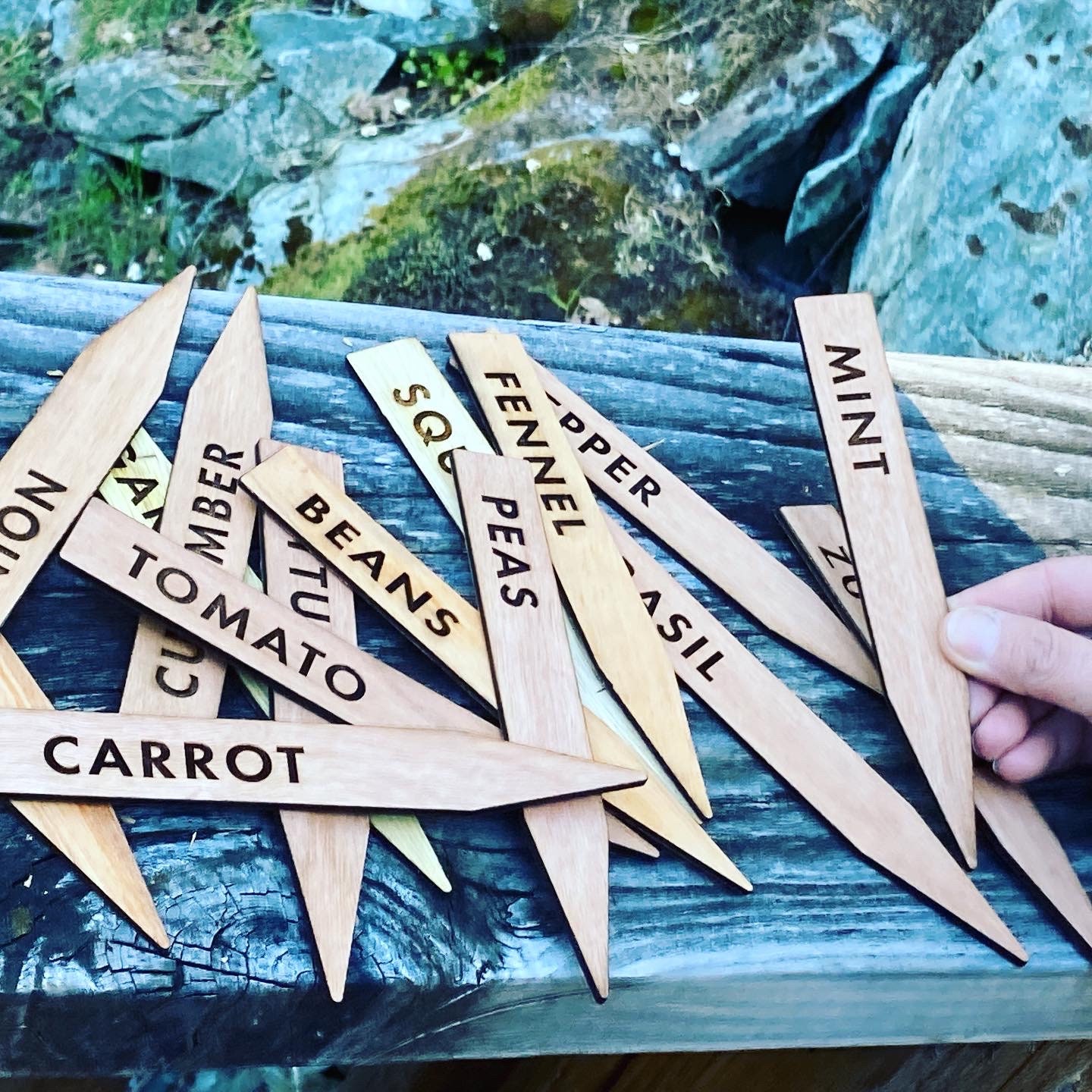 Wood Garden Stakes 7 Laser Engraved Vegetable Signs Etsy