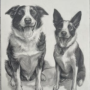 Peut inclure: Dessin au crayon de deux chiens, probablement des Colleys, assis c&ocirc;te &agrave; c&ocirc;te. Les chiens sont repr&eacute;sent&eacute;s en niveaux de gris, avec des ombres d&eacute;taill&eacute;es. L'un des chiens a la langue sortie, l'autre porte un collier.