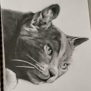 Croquis au crayon personnalisé pour portrait d'animal de compagnie image 1