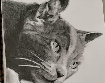 Custom Pet Portrait Pencil Sketch