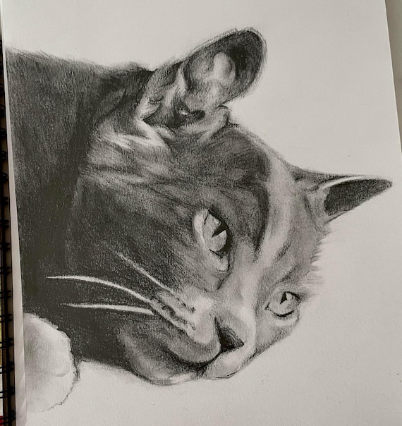 Custom Pet Portrait Pencil Sketch