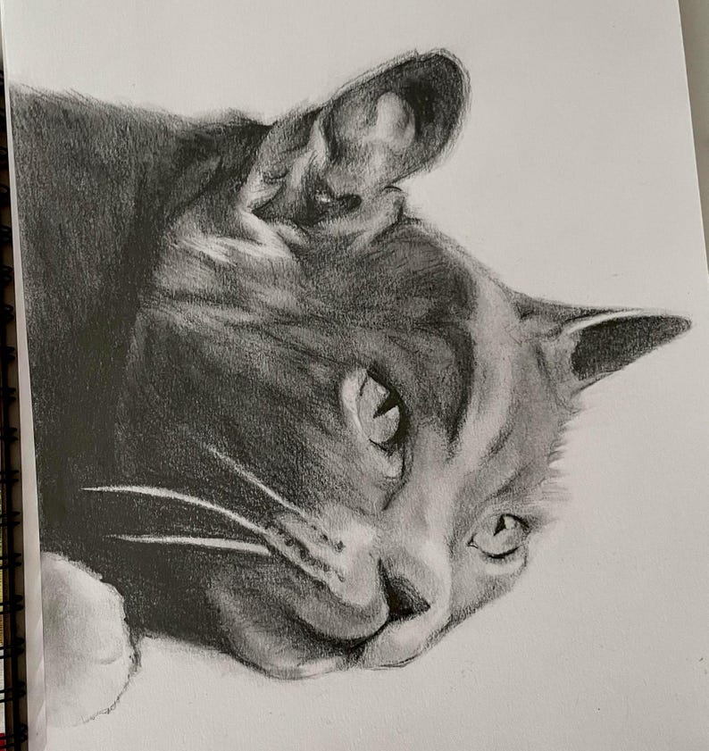 Croquis au crayon personnalisé pour portrait d'animal de compagnie image 1