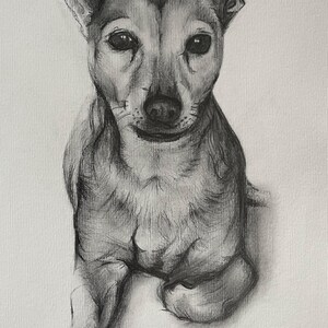 Peut inclure: Un dessin au fusain d'un chien, rendu en nuances de gris. Le chien est assis et regarde directement le spectateur. L'&oelig;uvre capture les traits du chien, y compris sa fourrure, ses yeux et ses oreilles, avec des ombres d&eacute;taill&eacute;es.