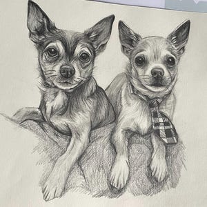 Peut inclure: Dessin au crayon de deux chiens Chihuahua. L'un des chiens porte une cravate &agrave; carreaux. Les chiens sont rendus dans un style r&eacute;aliste avec des poils d&eacute;taill&eacute;s et des yeux expressifs. L'&oelig;uvre est sur fond blanc.
