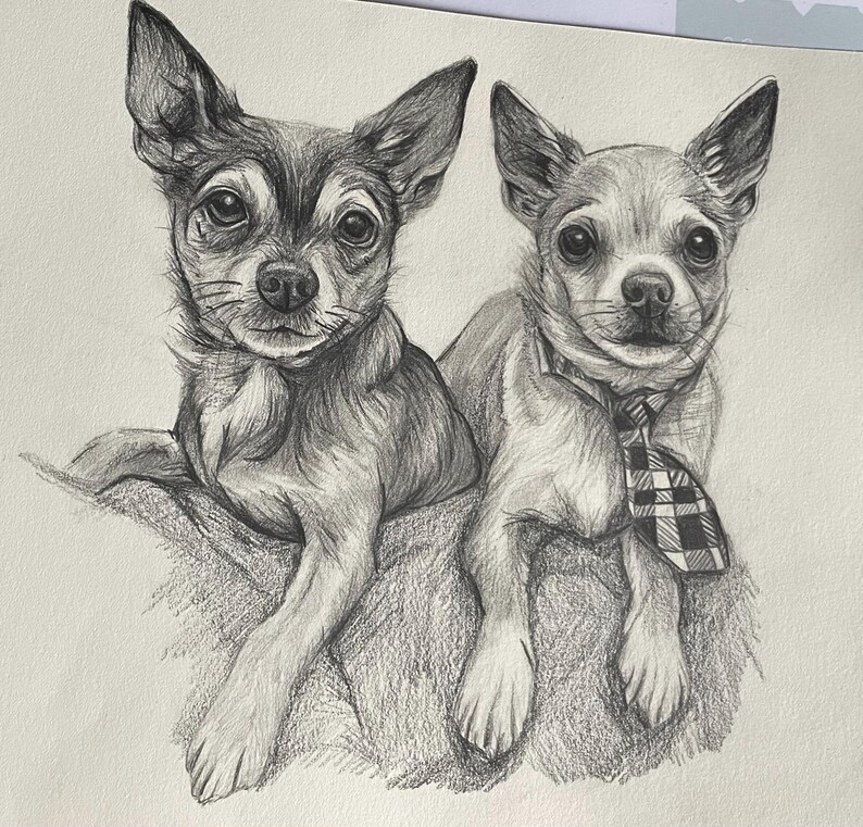Peut inclure: Dessin au crayon de deux chiens Chihuahua. L'un des chiens porte une cravate &agrave; carreaux. Les chiens sont rendus dans un style r&eacute;aliste avec des poils d&eacute;taill&eacute;s et des yeux expressifs. L'&oelig;uvre est sur fond blanc.