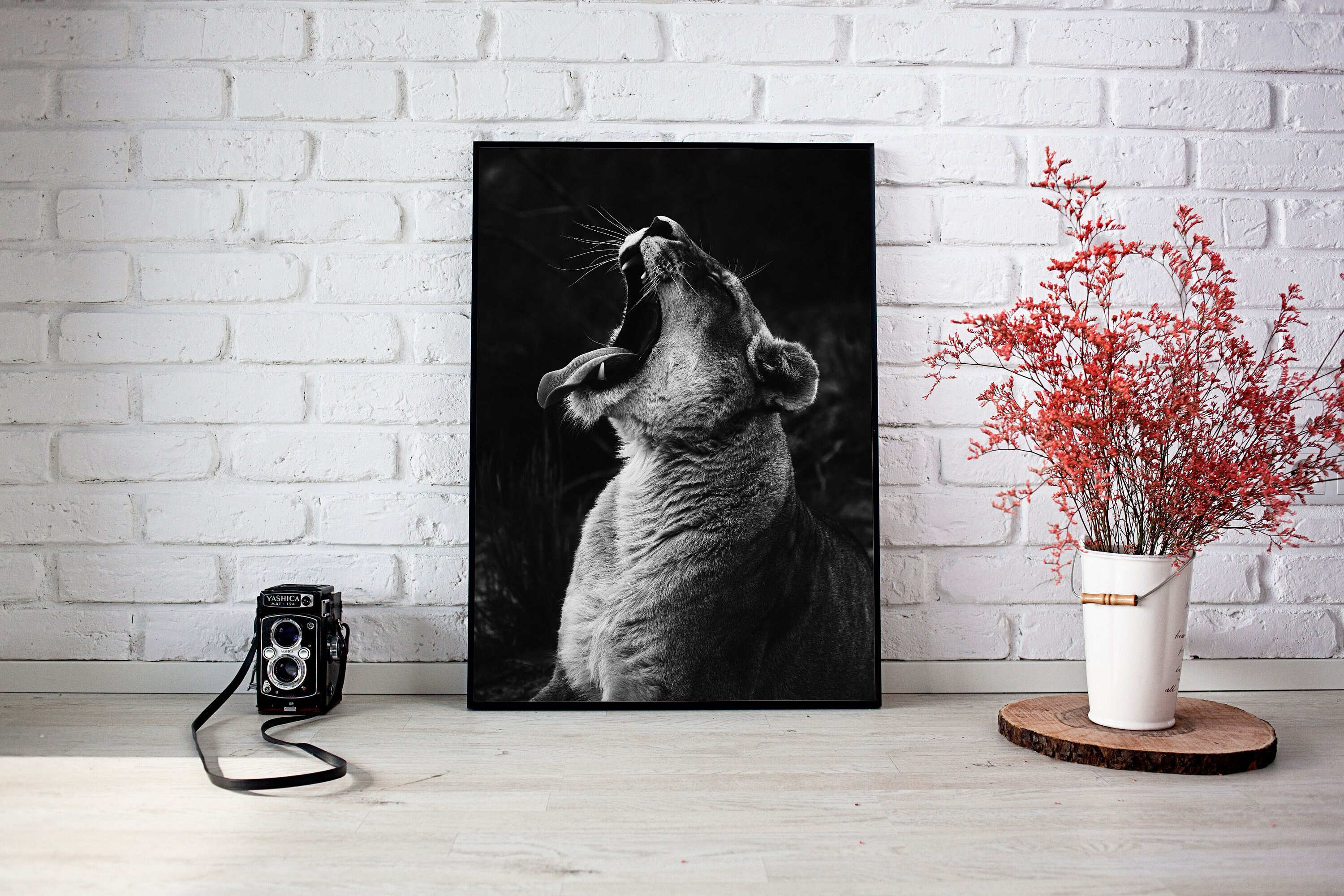 Affiche Photo Lionne Noir et Blanc, Impression Numérique, Julia