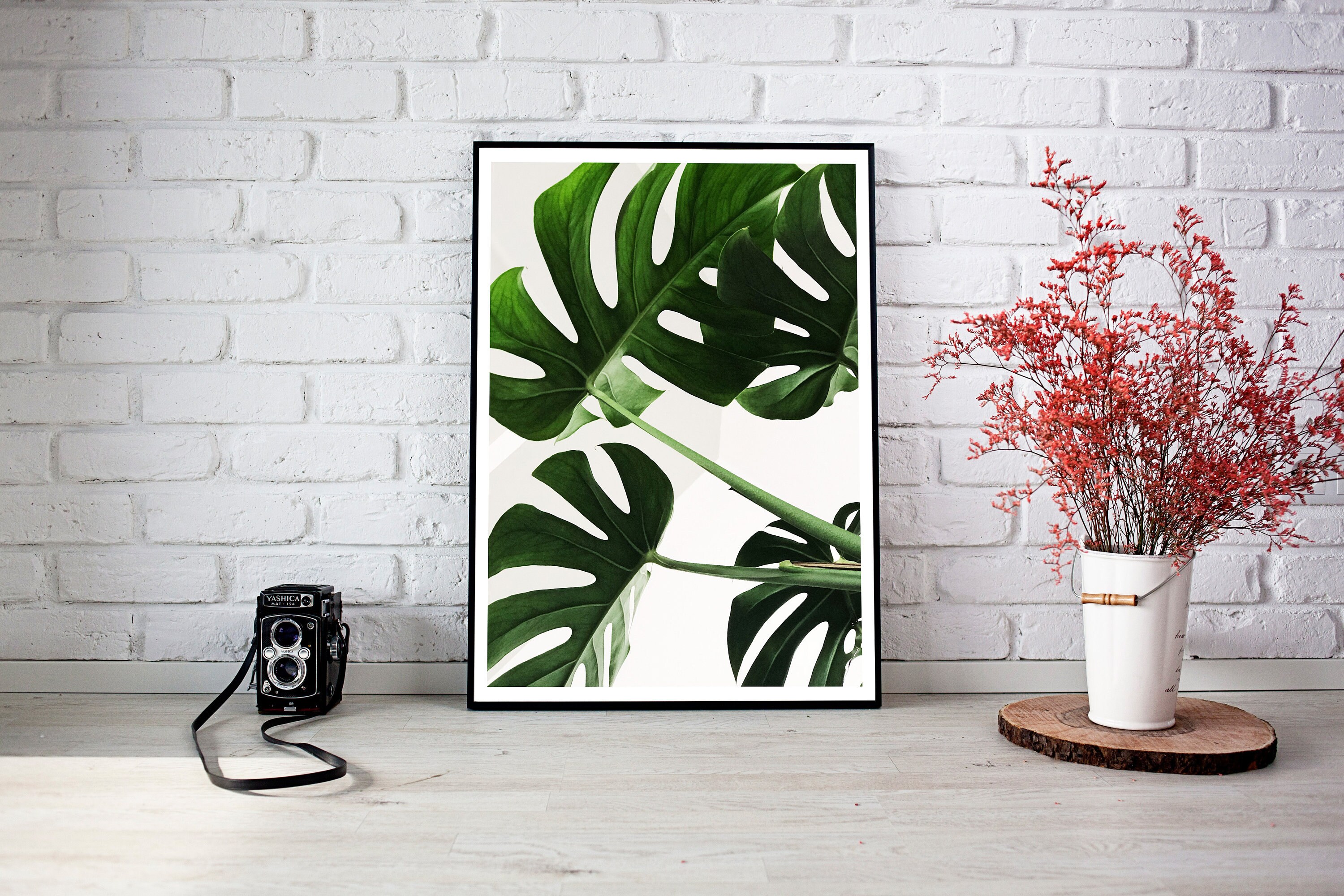 Affiche Impression Numérique Photo Jungle, Plantes, Palmier, Cali