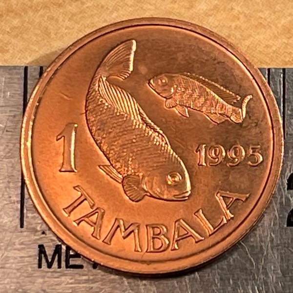 TIlapia Fish 1 Tambala Malawi Authentic Coin Money for Jewelry and Craft Making