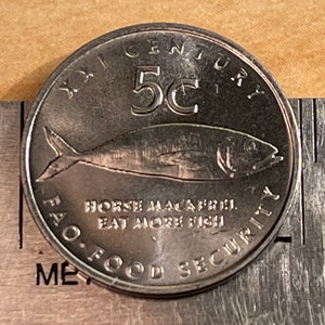 Cape Horse Mackerel &quot;Eat More Fish&quot; Namibian Authentic Coin Money for Jewelry and Craft Making