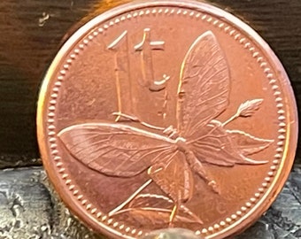 World&#39;s Biggest Butterfly - Birdwing - & Bird of Paradise - Papua New Guinea Authentic Coin - 1 Toea - Money for Jewelry and Craft Making