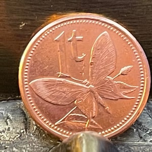 &#39;s Werelds grootste vlinder - Birdwing - & Bird of Paradise - Papoea-Nieuw-Guinea Authentieke Munt - 1 Toea - Geld voor sieraden en ambachtelijk maken