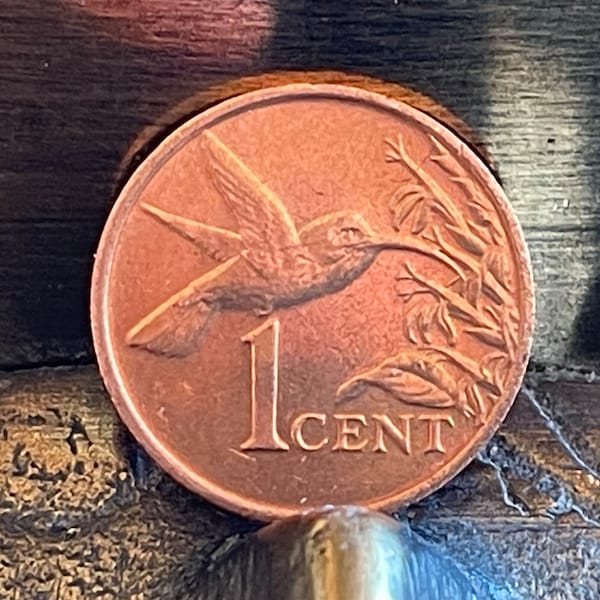 Hummingbird in flight Trinidad Tobago  One Cent Authentic copper Coin - Money for Jewelry and Craft Making - drilled coin - Coin charm