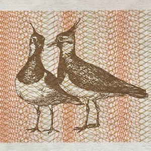 Lithuania Talonas Banknote: Northern Lapwings & Vytis Knight for Crafting