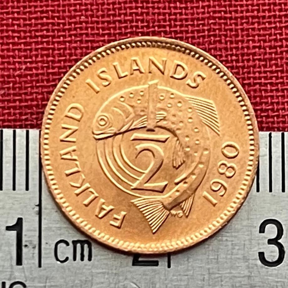 Falkland island coins - Etsy 日本
