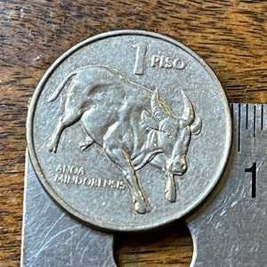 Dwarf Buffalo & Jose Rizal Philippines 1 Piso Authentic Coin Money for Jewelry and Craft Making (Tamaraw Cattle)