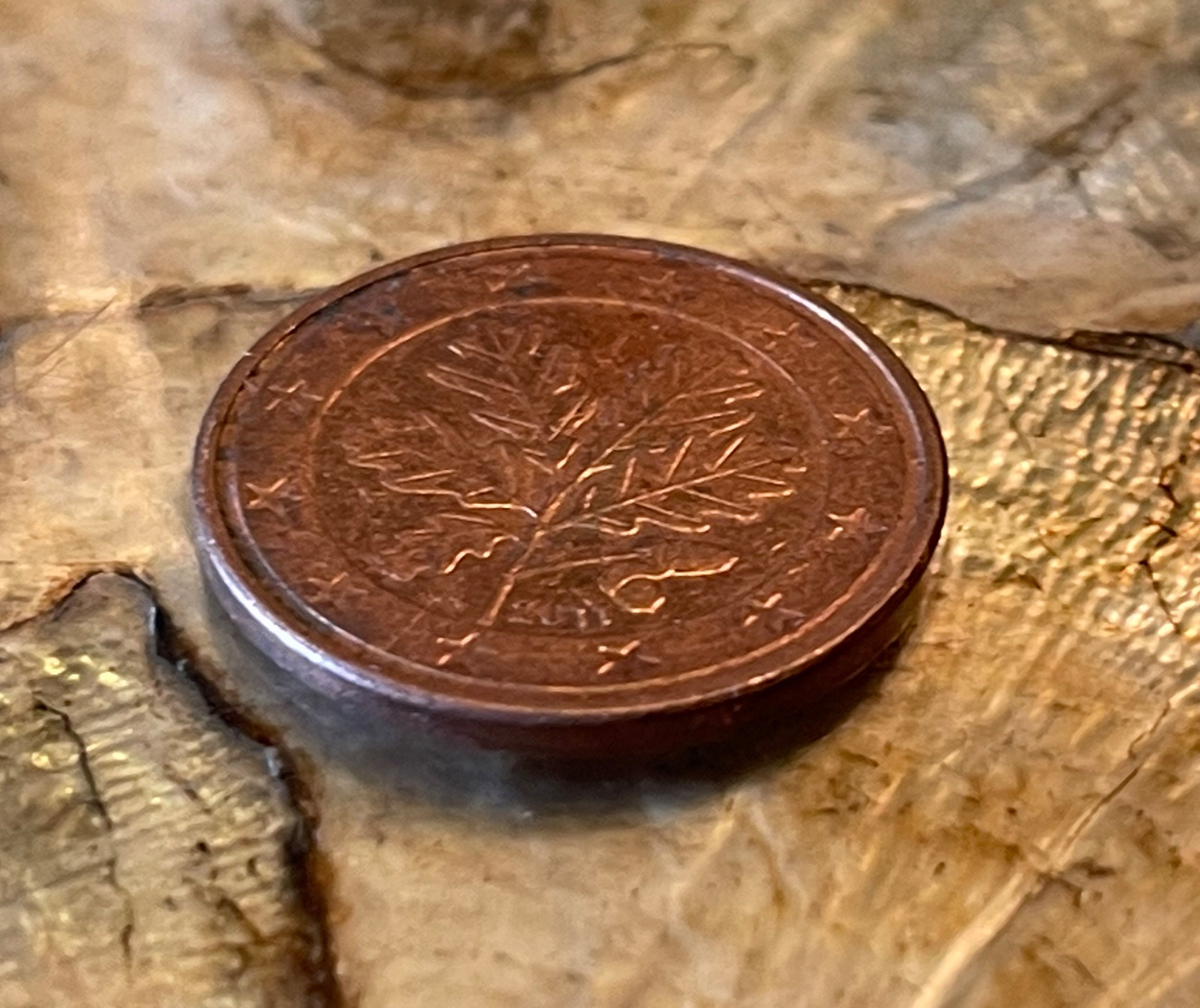 Piece 5 Centimes 2002 Feuille De Chene Valeur Feuille de chêne allemande authentique Pièce de monnaie 5 - Etsy Canada