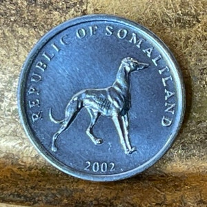 Greyhound Somaliland 20 Shillings Authentiek muntgeld voor sieraden en ambachtelijke maken (Italiaanse windhond)