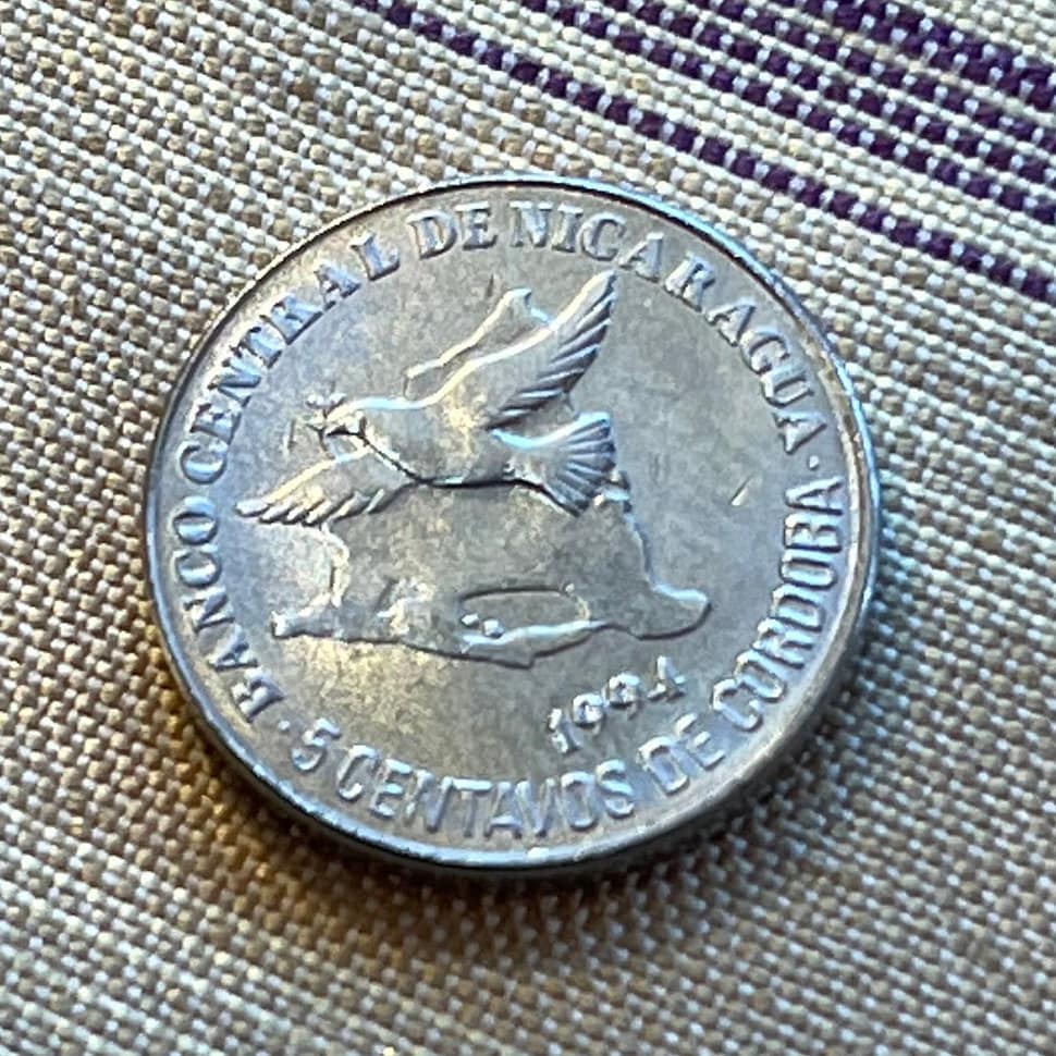 Turquoise-browed Motmot Nicaragua 5 Centavos Authentic Coin Money for  Jewelry and Craft Making - Etsy, image size:970x970