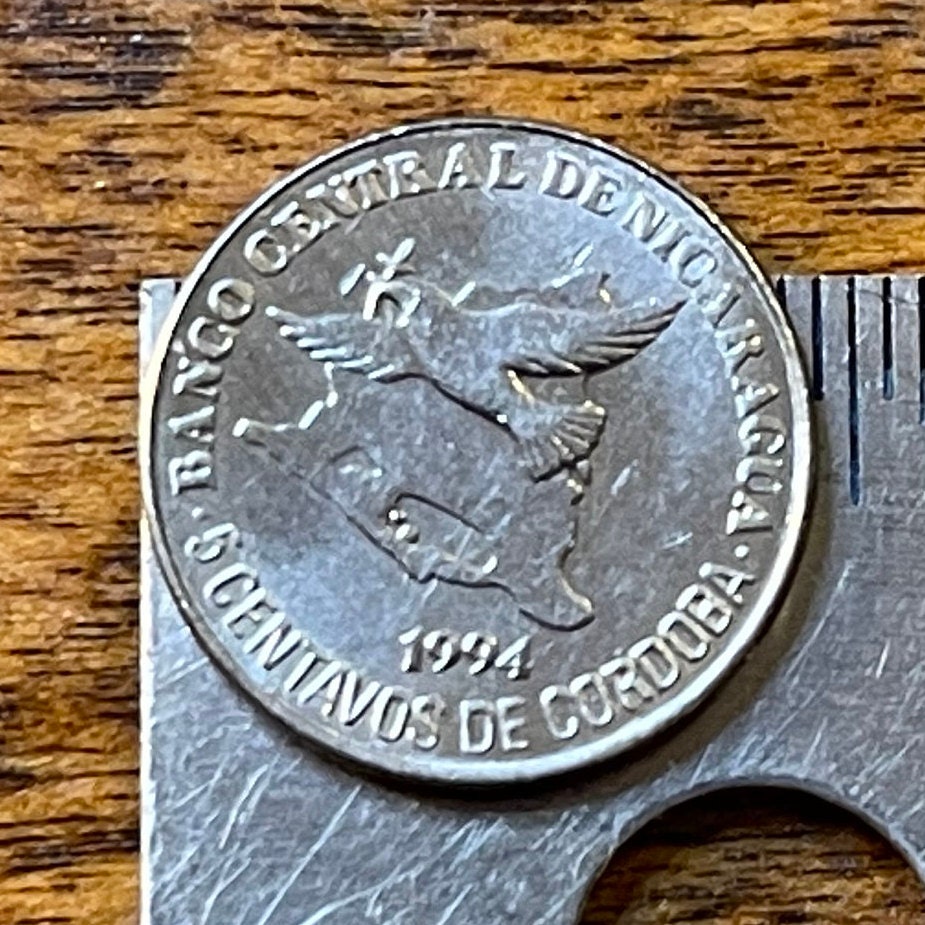 Turquoise-browed Motmot Nicaragua 5 Centavos Authentic Coin Money for  Jewelry and Craft Making - Etsy, image size:925x925