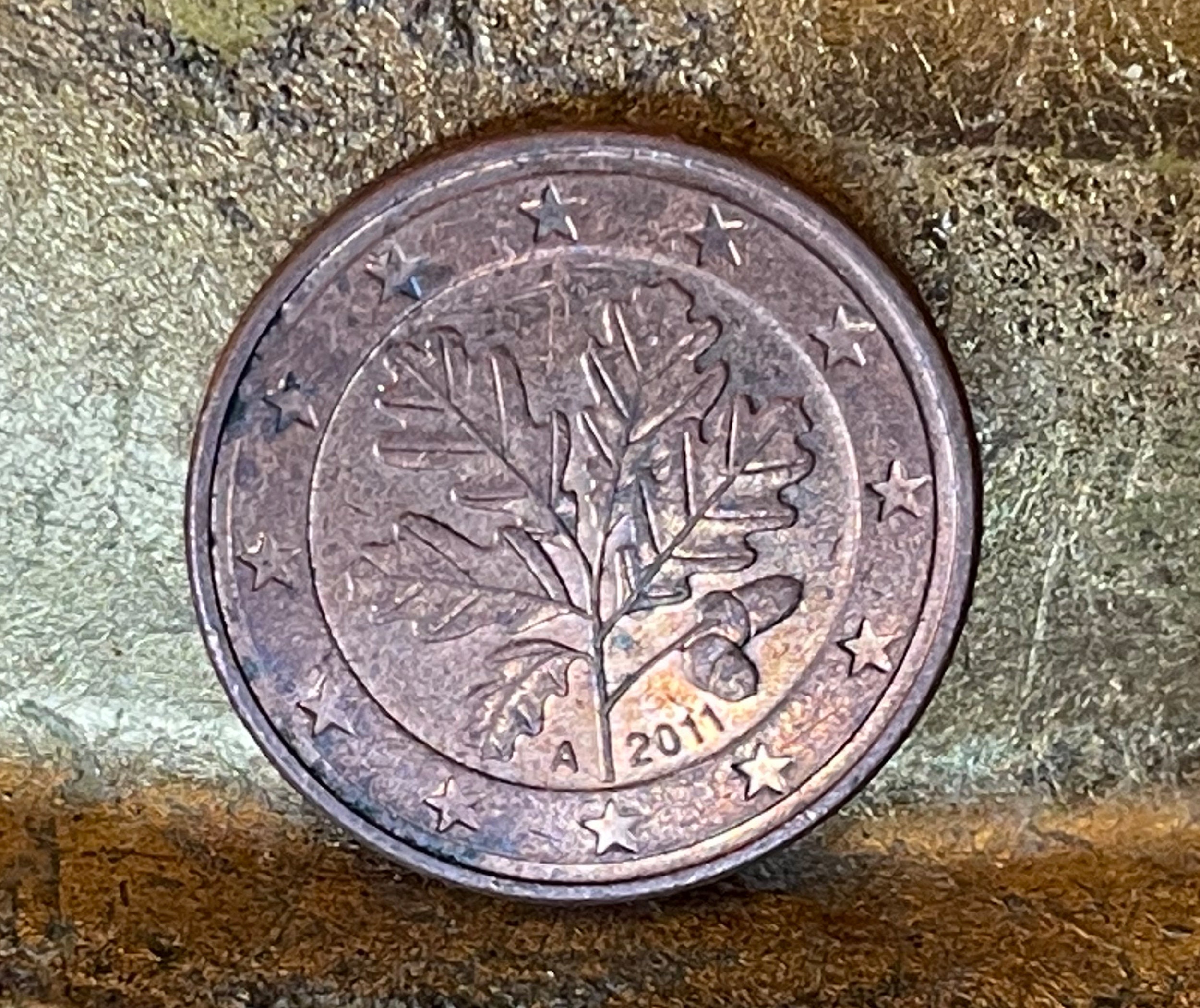 Piece 5 Centimes 2002 Feuille De Chene Valeur Feuille de chêne allemande authentique Pièce de monnaie 5 - Etsy Canada