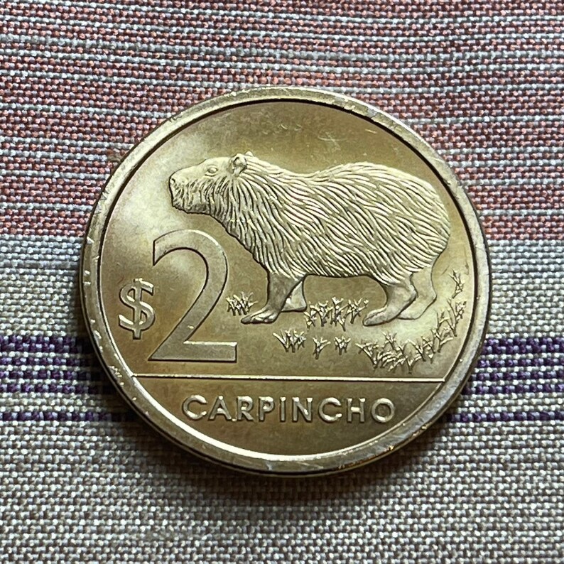 Capybara 2 Pesos Uruguay Authentic Coin Money for Jewelry and | Etsy