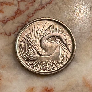 Snakebird Oriental Darter 5 Cents Singapore Authentic Coin Money for Jewelry and Craft Making