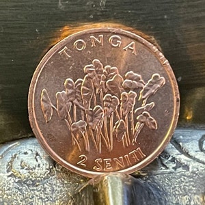 Taro Plant & &quot;Food For All&quot; 2 Seniti Tonga Authentic Coin Money for Jewelry and Craft Making (Family Planning) (United Nations)