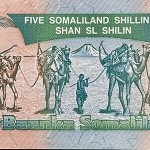 Nomad Camel Caravan, Kudu & Goodrika Supreme Court Building 5 Shillings Somaliland Authentic Banknote Money for Collage (Dromedary)