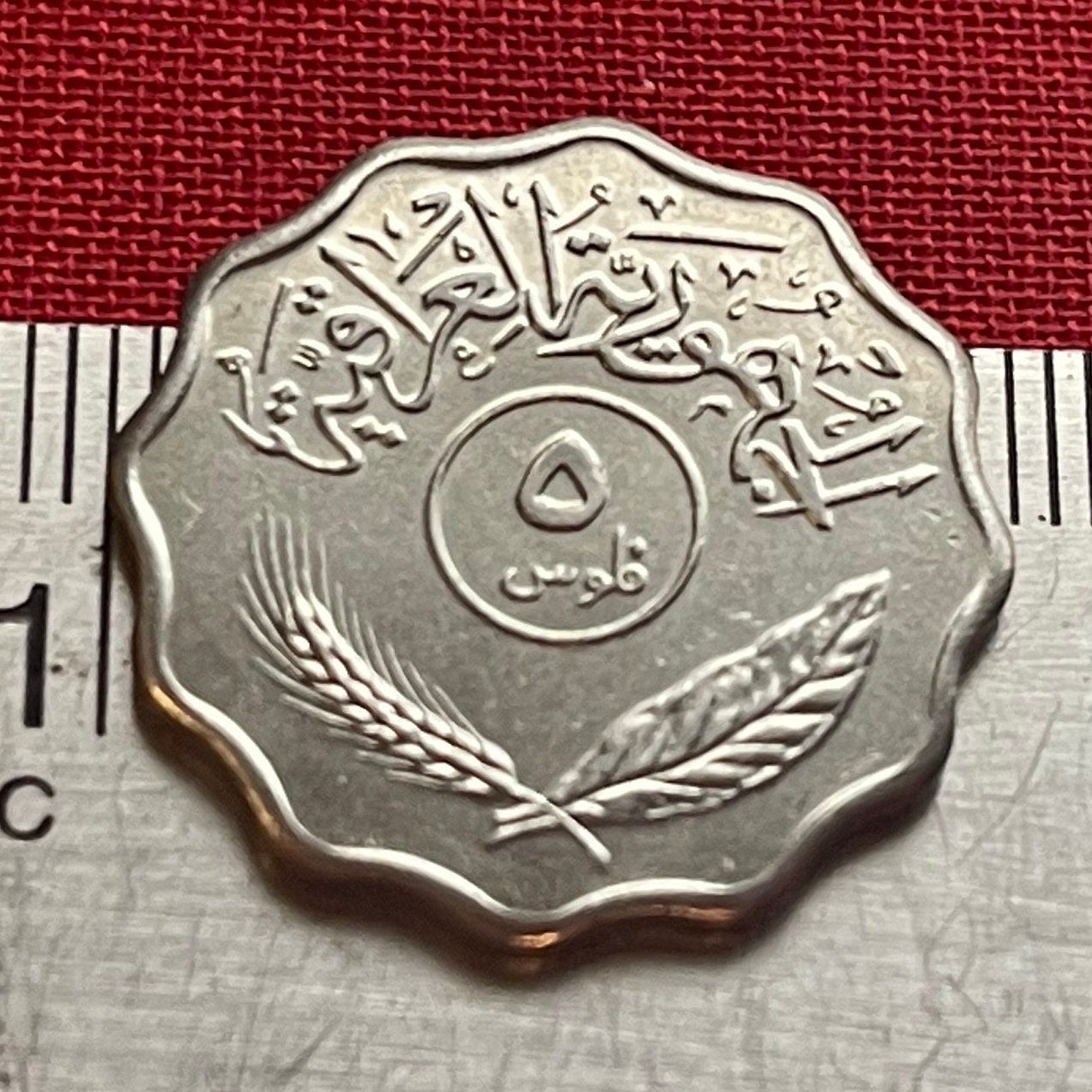 ナツメヤシの木のイラクコイン：5フィルス貝殻模様の貨幣、宝飾工芸品 - Etsy 日本