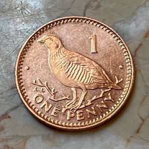 Barbary Partridge Gibraltar 1 Penny Authentic Coin Money for Jewelry and Craft Making